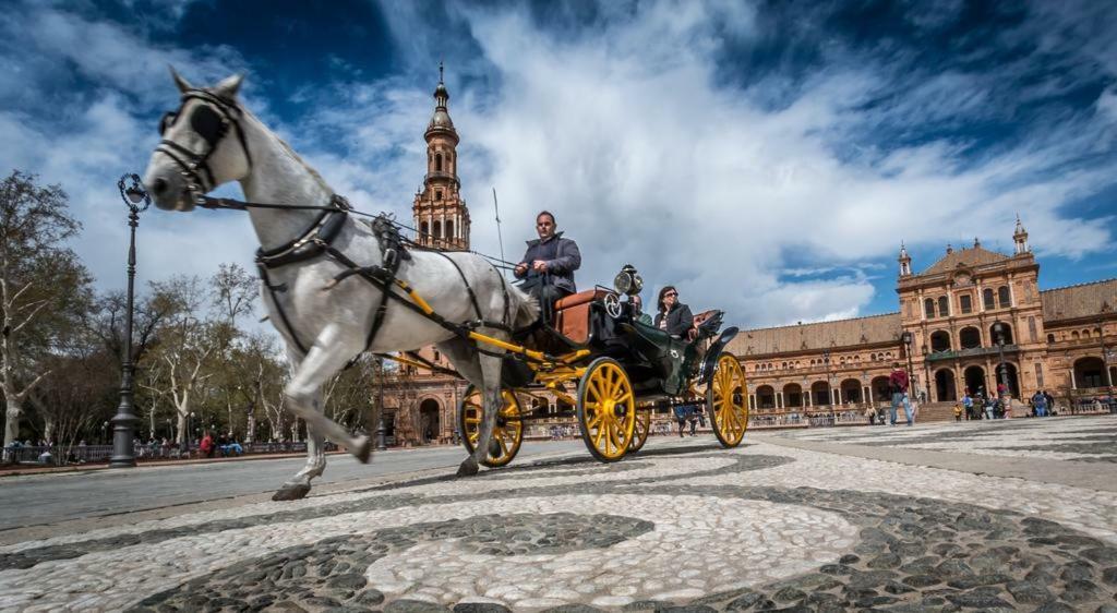 マイレナ・デル・アルハラフェ Casa Boticarioヴィラ エクステリア 写真